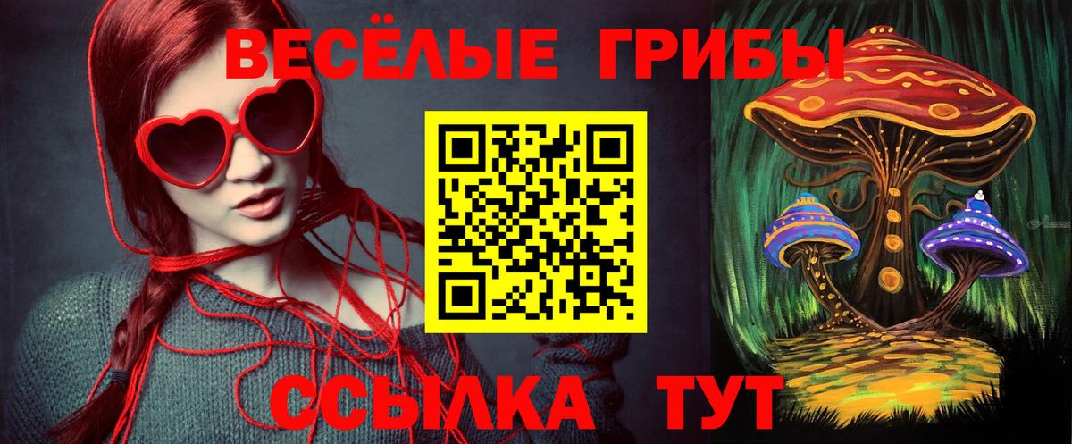 Галлюциногенные грибы ЛСД Йошкар-Ола