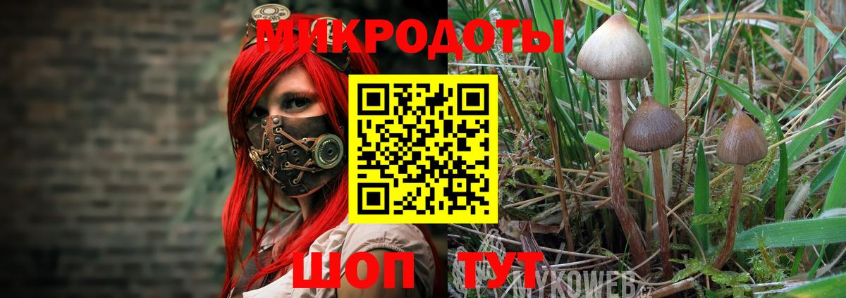 Галлюциногенные грибы Psilocybine cubensis  Вход с VPN  Йошкар-Ола 